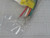 LOT OF 2 BRAD CONNECTIVITY 1300130774 41547 MINI-CHANGE RECEPTACLE 5P MALE 6 IN 18 PVC LEADS T168352 LOT OF 2 BRAD CONNECTIVITY 1300130774 41547 MINI-CHANGE RECEPTACLE 5P MALE 6 IN 18 PVC LEADS T168352