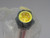LOT OF 2 BRAD CONNECTIVITY 1300130774 41547 MINI-CHANGE RECEPTACLE 5P MALE 6 IN 18 PVC LEADS T168352 LOT OF 2 BRAD CONNECTIVITY 1300130774 41547 MINI-CHANGE RECEPTACLE 5P MALE 6 IN 18 PVC LEADS T168352