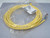 Brad Connectivity 1200650909 804001K03M0508 Actuator Cable MIC 4P FP 5M 90D 18/4 TPE SS For Sale