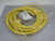 Brad Connectivity 1300101747 114033K12M050 Mini-Change A-Size Double-Ended Cordset 4 Poles Male (90°) to Female (90°) 16 AWG TPE Cable For Sale Brad Connectivity 1300101747 114033K12M050 Mini-Change A-Size Double-Ended Cordset 4 Poles Male (90°) to Female (90°) 16 AWG TPE Cable For Sale