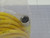 BRAD CONNECTIVITY 1200652083 2EPL3 MICRO-CHANGE 3 POLE FEMALE ST 10M 22-3 PVC W/0 BRD DC CORD T168459