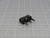 Lot of 1100 Omron SS-10T  Microswitches 10.1 A 250V AC  For Sale Lot of 1100 Omron SS-10T  Microswitches 10.1 A 250V AC  For Sale