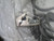 NORGREN CS8-2-32 MAGNETICALLY OPERATED SWITCH T198679 NORGREN CS8-2-32 MAGNETICALLY OPERATED SWITCH T198679