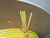 FIBER OPTIC CABLE ROLL SMF-28E (1160 FT) T76338