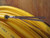 SINGLE MODE FIBER OPTIC CABLE 22 FIBER (85 M) T93076