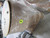 FIBER OPTIC CABLE ROLL 144  W/ FIBER PANEL T82877