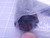 WOODHEAD 114030K21M010G 1300621018 BRAD POWER EXTENSION MC 4 P M/F STR/STR #14/4 BLK TPE CABLE 1 M T139093 WOODHEAD 114030K21M010G 1300621018 BRAD POWER EXTENSION MC 4 P M/F STR/STR #14/4 BLK TPE CABLE 1 M T139093