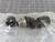 WOODHEAD 1200710047 LR6837 MICRO CHANGE ATTACHABLE CONNECTOR T154199 WOODHEAD 1200710047 LR6837 MICRO CHANGE ATTACHABLE CONNECTOR T154199