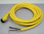 Allen-Bradley 889N-R4AF-12F  QD Cordset 4 Pin Mini Right Angle 12 Ft For Sale