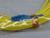 COMMSCOPE CX1A0002R0D02-043M FIBER OPTIC CABLE T176990 COMMSCOPE CX1A0002R0D02-043M FIBER OPTIC CABLE T176990