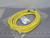 Brad Connectivity 1200661239 884030C02M040  Double-Ended Cordset 4P Female  to Male 18 SJOOW Cable For Sale