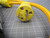 WOODHEAD 1301530113 20051-1M SUPER-SAFEWAY IN-LINE INDUSTRIAL GFCI PORTABLE SINGLE PHASE 1433 PLUG 1533 RECEPTACLE T165992 WOODHEAD 1301530113 20051-1M SUPER-SAFEWAY IN-LINE INDUSTRIAL GFCI PORTABLE SINGLE PHASE 1433 PLUG 1533 RECEPTACLE T165992