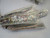 COMMSCOPE 760235879 C5C-AS2-6XA-F-X1N-15IN-A T188361 COMMSCOPE 760235879 C5C-AS2-6XA-F-X1N-15IN-A T188361