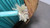 COMMSCOPE P-096-MP-5L-F12AQ 760038646 OM3 FIBER OPTIC CABLE MULTIMODE 96F 13000FT COMMSCOPE P-096-MP-5L-F12AQ 760038646 OM3 FIBER OPTIC CABLE MULTIMODE 96F 13000FT