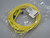 Brad Connectivity 1200660980 884031K03M050 Actuator Cable MIC 4P M/MFE 5M ST/90 18/4 TPE For Sale Brad Connectivity 1200660980 884031K03M050 Actuator Cable MIC 4P M/MFE 5M ST/90 18/4 TPE For Sale