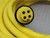 BRAD HARRISON 1300000112 32794 QUICK-CHANGE CORDSET 4P FEMALE 40´ 14/4 NEOPRENE CORD T168238 BRAD HARRISON 1300000112 32794 QUICK-CHANGE CORDSET 4P FEMALE 40´ 14/4 NEOPRENE CORD T168238