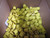 LOT OF 540 MOLEX 1301800270 00-4514 MALE (781) RUBBER HUSK-YELLOW T168258