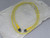 Allen-Bradley  889D-F5ACDM-1  QD Cordset  For Sale