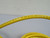 TURCK CSM CKM 19-19-11 US-05292 CABLE T181766