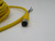 TURCK PKG 3M-10 CORDSET T241805 TURCK PKG 3M-10 CORDSET T241805