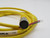TURCK KB3T-2 CORDSET T233708