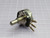 CLAROSTAT  401318    For Sale