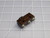 HONEYWELL 411SM1-T SUBMINIATURE BASIC SWITCH T252899
