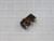 HONEYWELL  111SM127-T    For Sale