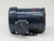 FRANKLIN ELECTRIC 4311020102 MOTOR T261310