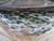 LOT OF 200 FT BEN-MOR 51060 STEEL SASH CHAIN T262192