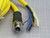 MURR ELEKTRONIK 7700-P4201-U0D1000 POWER CABLE T262803