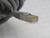 BLACK BOX EVNSL173GY-0050 BACKBONE CABLE T262981