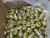 LOT OF 200 EATON 925CR LAMP SOCKETS FOR LIGHT FIXTURES T263630