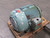 NEWMAN INDUCTION MOTOR T263762
