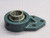 DODGE 052016 FLANGE MOUNT BALL BEARING T264108