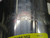 DELTA 10386302 5249960 HEATER T264236