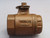 BALON 2R-S42N-UNI FLOATING BALL VALVE T264482