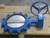 OHIO VALVE 4800SBG BUTTERFLY VALVE T264555