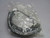 JACUZZI 65016-JX TANK VALVE T264975