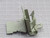 LOT OF 25 NVENT CATHPA4 ROTATED HAMMER-ON ASSY T265908