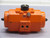 BETTIS DS0100.B2A03K.19K0 139658 PNEUMATIC ACTUATOR T266635