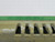 LOT OF 7 MODICON MIXED LOT OF CONTROLS T267363