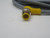 LOT OF 2 TURCK WK 4.5T-4-WS 4.5T M12 EUROFAST DOUBLE-ENDED CORDSET. T267813