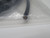 SCHMERSAL A-K8P-M8-S-G-5M-BK-2-X-A-4 M8 FEMALE STRAIGHT CORDSET T267844