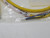 TURCK PKG 3M-1 (U2517-55) PICOFAST (M8) SINGLE-ENDED CORDSET T268003