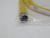 TURCK PKG 3M-1 (U2517-55) PICOFAST (M8) SINGLE-ENDED CORDSET T268003
