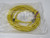 ALLEN BRADLEY 889R-F6ECA-5 ARMORCONNECT DC MICRO (M12) CORDSET T268005