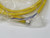 TURCK PKG 4M-1 PICOFAST (M8) SINGLE-ENDED CORDSET T268007