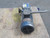 LEESON C4D17FC2B 9-51912-93 DC GEARMOTOR ASSEMBLY T268154