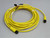 NOB LOT OF 2 ALLEN BRADLEY 889D-F4AC-5 DC MICRO CORDSET CABLES T271218 FOR SALE